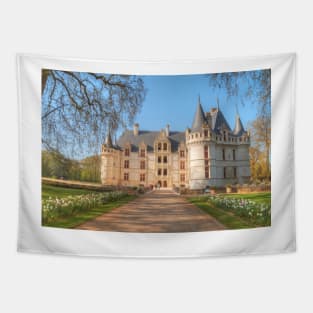 Chateau D'Azay-Le-Rideau Tapestry