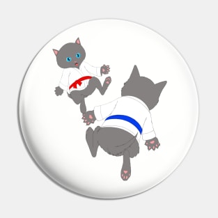 Adorable Karate Kittens Pin