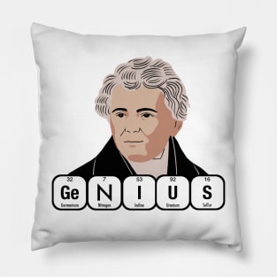 Georg Ohm Genius Pillow