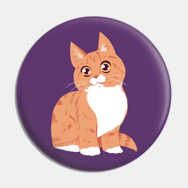 Cute orange tabby Pin by iambirgitte