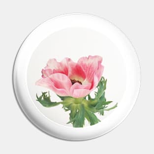 Pink Anemone Pin