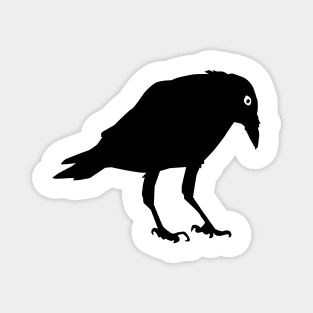 CorvidSolo Magnet