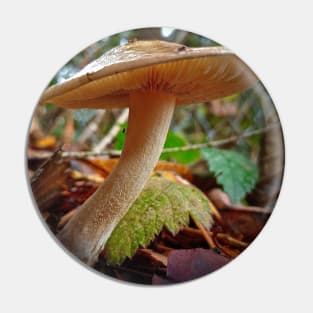 Sunny Mushroom Pin