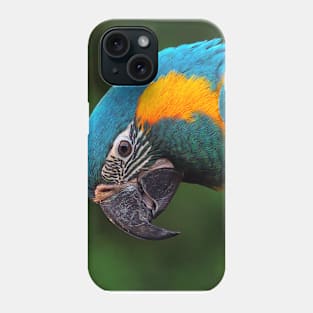 Macaw Portrait Phone Case