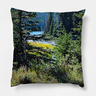 Elbow lake in the Background. Pillow