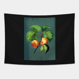 Apricot fruits on a branch Tapestry