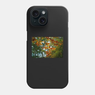 Colourful Autumn Leaves On Tree Branch Phone Case