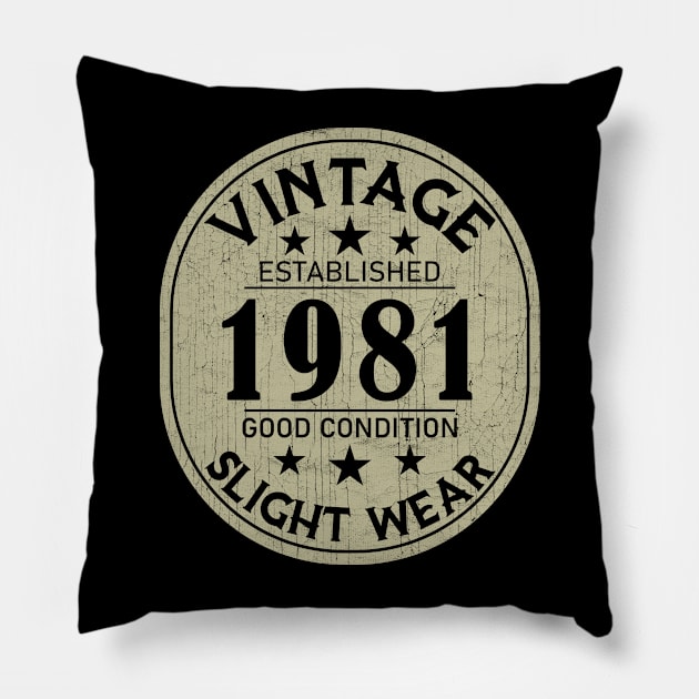 1981 Vintage - Good Condition Slight Wear Pillow by Stacy Peters Art