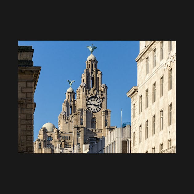 Royal Liver Building, Liverpool by millroadgirl