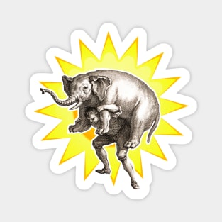 pachyderm heavy animal Magnet