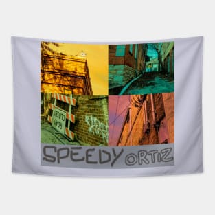 SPEEDY ORTIZ Tapestry