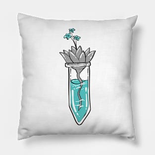 Libramasculine Potion Terrarium Hidden colors Pillow