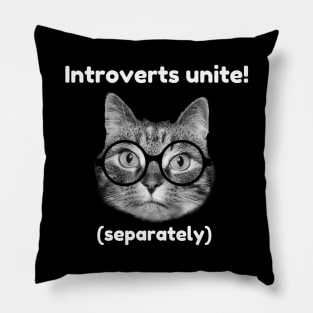 Introverts unite! Pillow