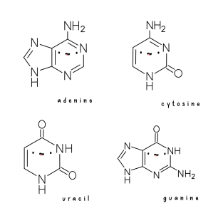 Kawaii RNA Pack T-Shirt