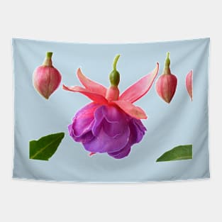 Fuchsia  &#39;Madeleine Sweeney&#39; Tapestry