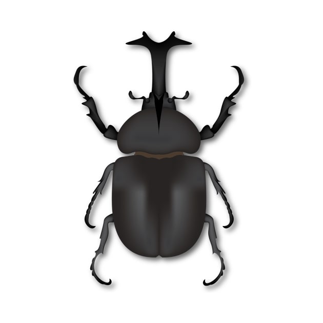 Rhinoceros Beetle by 397House