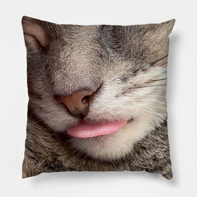 Grey Cat Tongue Blep (gifts) Pillow by VisualSpice