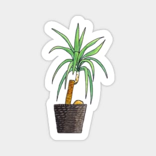 Yucca - House Plant Watercolour Magnet