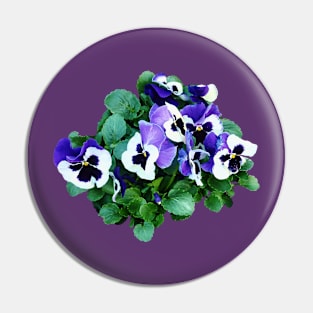 Pansies - Bunch of Purple and White Pansies Pin