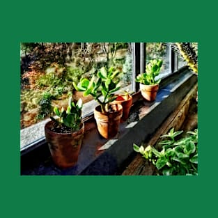 Jade Plants in Greenhouse T-Shirt