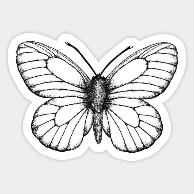 Black and White Butterfly Sticker for Sale by piperbrantley  Black and  white stickers, Black stickers, Butterfly black and white