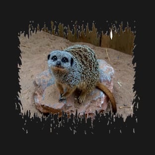 Meerkat T-Shirt