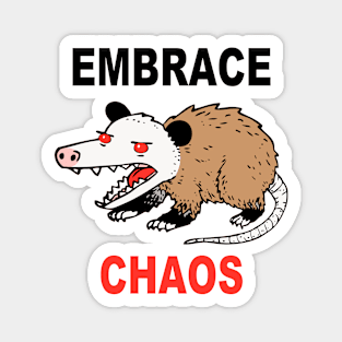 Embrace Chaos Magnet