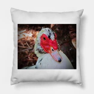 Muscovy Duck Pillow