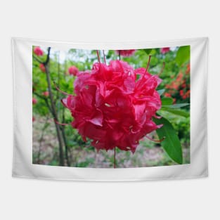 Red Azalea Flowers Tapestry