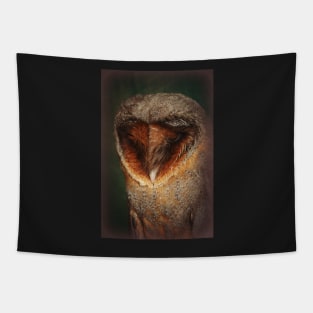 Black Barn Owl Tapestry