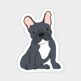 Black and White French Bulldog Magnet