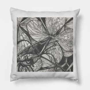 Botanical Study Pillow