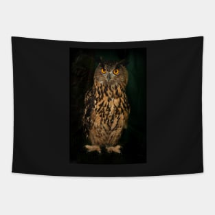 Portrait Of An Eagle Owl Tapestry