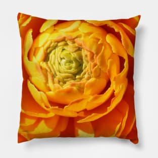 Ranunkel in Orange Pillow