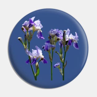 Irises - Group of Purple Irises Pin