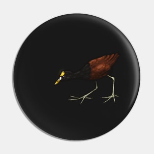 Northern Jacana Pin