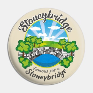 Stoneybridge town council Pin