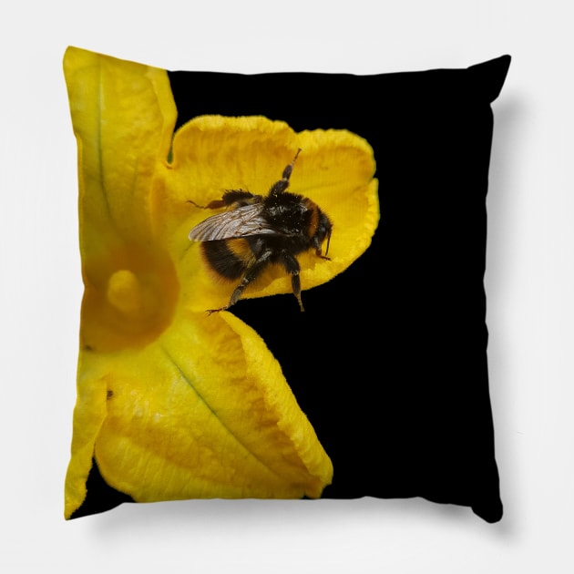 Bumble Bee on Yellow Flower Pillow by RFMDesigns