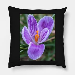 Purple, Orange and White Flower 4 Pillow