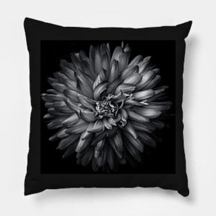 Backyard Flowers In Black And White 20 Pillow