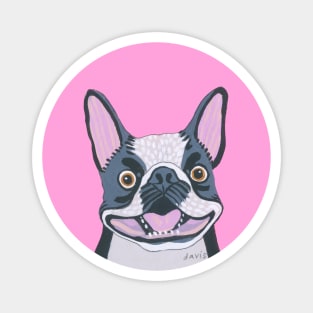 Smiling Boston Terrier Dog Magnet