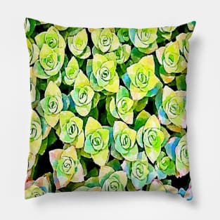 crassula perforata succulents pattern Pillow