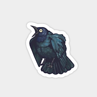 Brewer's Blackbird Magnet