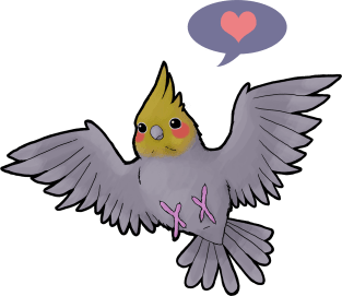 Cockatiel Love Magnet