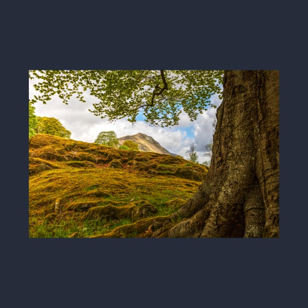 Helm Crag Above The Village Of Grasmere, Lake District by tommysphotos