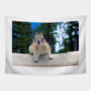 Chipmunk in Banff Alberta in Canada Tapestry