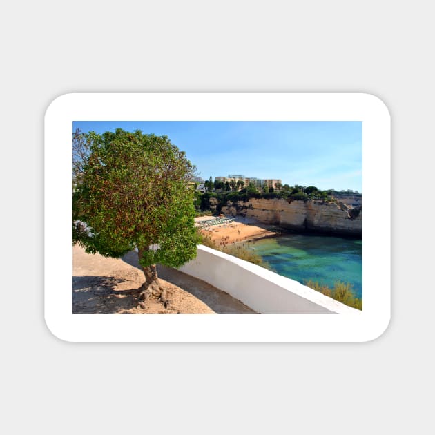 Praia de Nossa Senhora da Rocha Algarve Portugal Magnet by AndyEvansPhotos