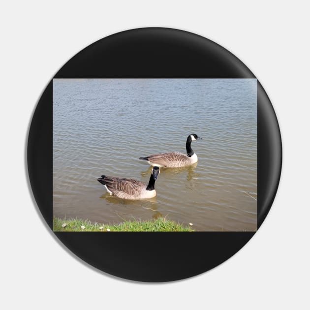 wild geese,gift,beautiful nature Pin by AnnaMartaFoley