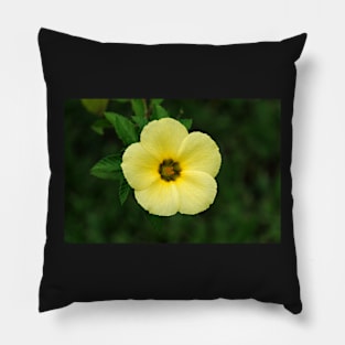 flower Pillow