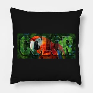 Color Pillow